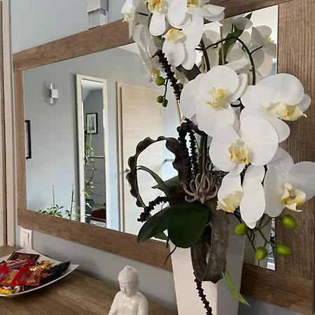 Apartman S&v Ferienwohnung Fürth